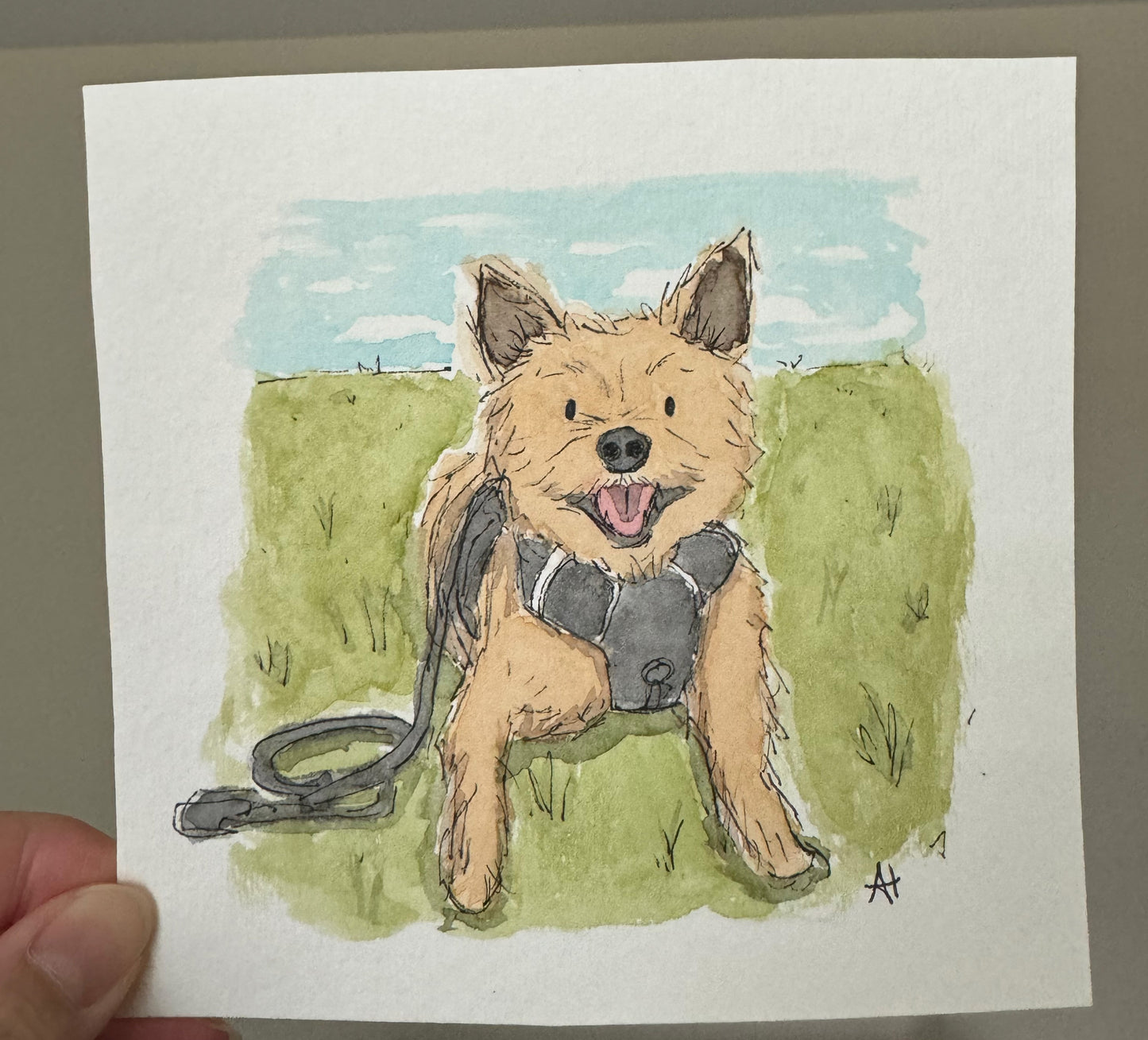 Custom Watercolor Pet Portraits