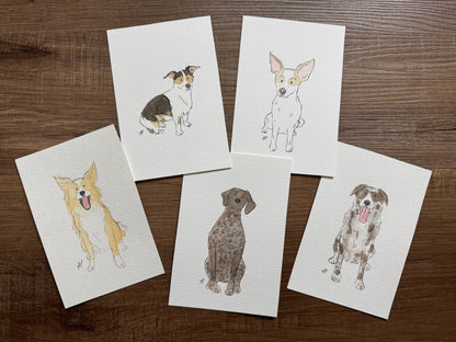 Custom Watercolor Pet Portraits